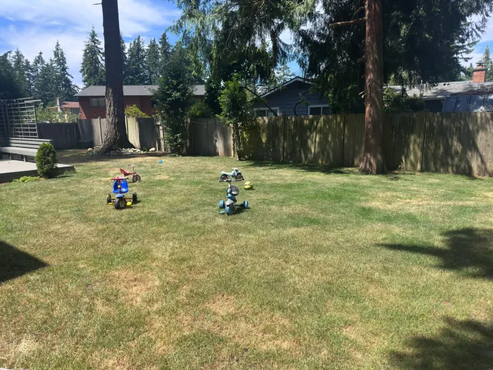 Secure fenced backyard where children ride tricycles at the Lynnwood home daycare